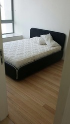 The Trillium (D9), Condominium #174713882